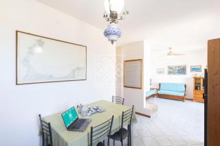 Turtle House - Stintino - 7
