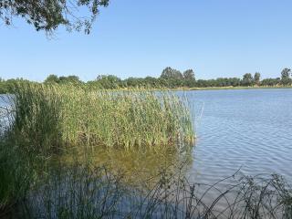 Villa Nooma Alentejo - 5