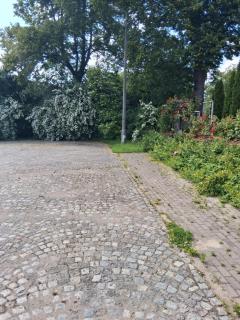 Apartamenty pod lipami - Olsztynek - 3