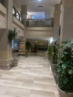 Kafr Abdo Luxury Home - 5