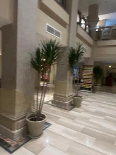Kafr Abdo Luxury Home - Alexandria - 3