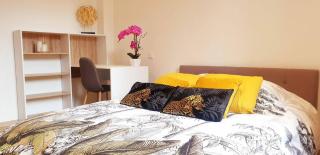 maison ville st aff - Saint-Affrique - 4
