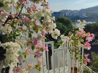 Seven Love Letters Zen Tea and Flower Bed and Breakfast - Montanhas Huangshan - 8