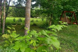 Cottage from the edge of Nuuksio National Park - 8