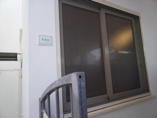 Lucy - 5