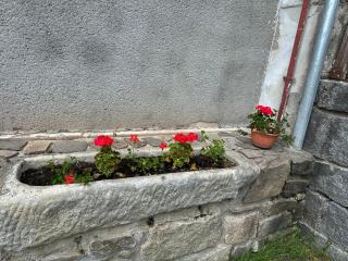 Apartmány Tereza - Lipno nad Vltavou - 9