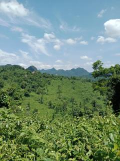 Phong Nha Magic Fingers Homestay and Spa - Phong Nha - 6