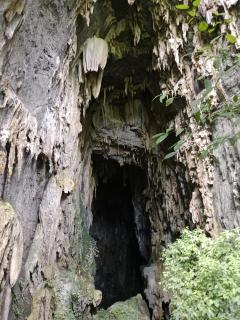 Phong Nha Magic Fingers Homestay and Spa - Phong Nha - 8