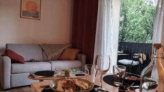 Studio Cocoon Air conditioning, balcony & lake access - 2