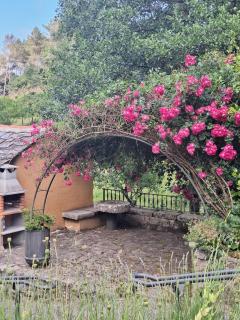EL VIEJO MOLINO - Lugo - 8