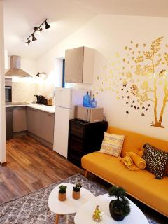 1 Liberte - TRIPLEX - Saint-Affrique - 7