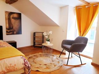 sadi carnot - 2b duplex - Millau - 3