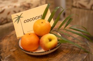 Homestay Đồ Sơn - Cocochi - Ðố Sơn - 2