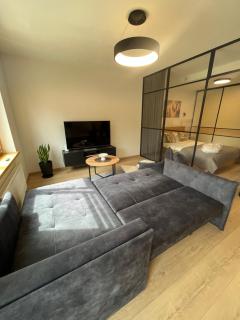 Central Location I Private Garage Parking & Easy Checkin I Cᴏʜᴏsᴛ - Vilnius - 3