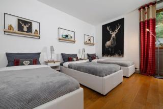 Central Chamonix - Quiet & Parking 5px Apartment - Chamonix - 9