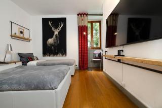 Central Chamonix - Quiet & Parking 5px Apartment - Chamonix - 2