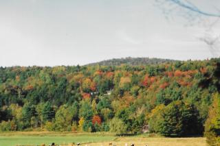 West Branch Little River Retreat - Stowe - 6