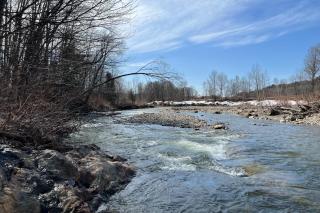 West Branch Little River Retreat - Stowe - 1
