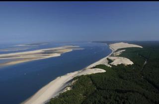 Magnifique Villa Familiale proche plages et commerces - Arcachon - 5