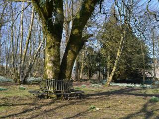 Laundry Cottage - Uldale - 2