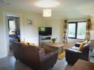 Foxglove Lodge - Uk13448 - Halwill - 0