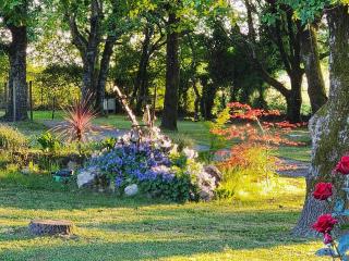 Chalet du moulin - Cussac-Fort-Medoc - 3
