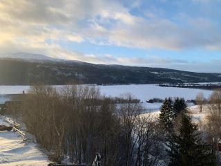 Newly built exclusive apartment in View with bike storage - Åre - 4