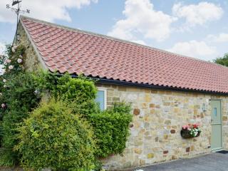 Bilsdale - 25566 - Nether Silton - 5