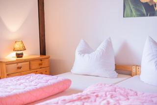 Ferienwohnpark Immenstaad am Bodensee Satteldachhaus Typ 9 SD 45 - 5