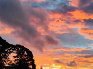Mi Casa Su Casa Monteverde - Monteverde Costa Rica - 2