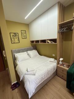 Dika Apartment 2 - Tirana - 0