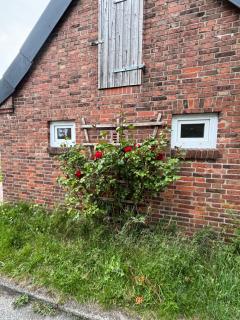 Pension Perla Sylt - - 0