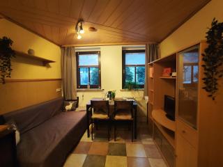 ansimali 2 - Apartment mit Wohn- und Schlafraum, integrierter Küchenzeile, separater Dusche und WC - ideal für Alleinreisende und Monteure am Spiegelwald - 9