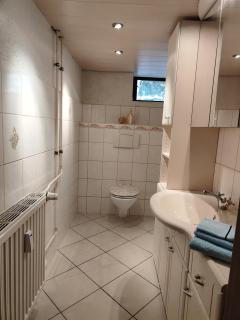 ansimali 2 - 1Zimmer-Apartment mit Wohn- und Schlafraum, integrierter Küchenzeile, separater Dusche und WC - ideal für Alleinreisende und Monteure am Spiegelwald - Grünhain-Beierfeld - 6