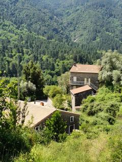 Maison De Jeannette En Pierre - Poggiolo - 8
