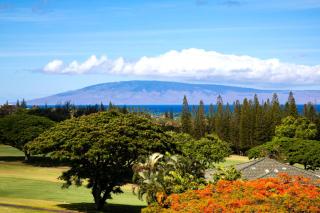 KBM Resorts Spacious 2-Bedroom Kapalua Golf Collection Multi Unit Listing Golf Course Views 2 Free Rental Cars KGV-20T2T8 - Kapalua - 1