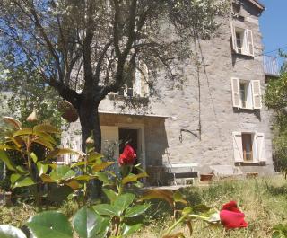 Maison De Jeannette En Pierre - Poggiolo - 0