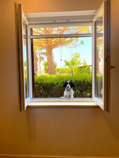 Tenuta Fasanarella - 5