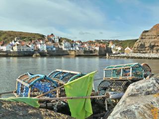 Thistle-Doo Nicely - Staithes - 1