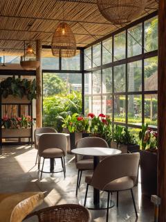 Atardeceres del Cafe - Manizales - 7