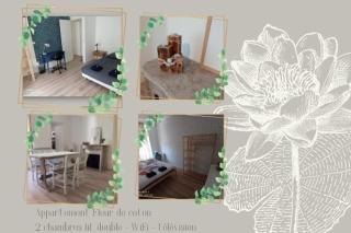 Appartement familial Fleur de coton - centre-ville - Dijon - 1
