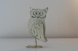 Owls Hoot at Tove Valley Cottages - Towcester - 3