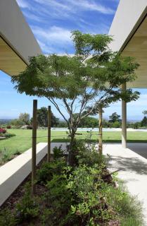 Meadow House - 1