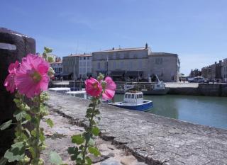 ABYS Logement avec grande terrasse - Saint-Martin-de-Ré - 2