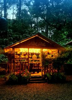 Mist Nest Munnar - 8