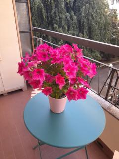 Suite Emotion 716 e sei a casa! - 7
