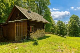 Somova gora chalet in the woods - Kočevje - 7