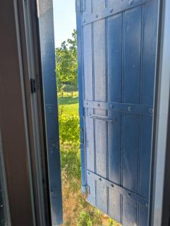 Chambre d'hôtes - Briatexte - 1