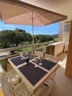 bel appartement climatisé près de la plage - Bormes-les-Mimosas - 0
