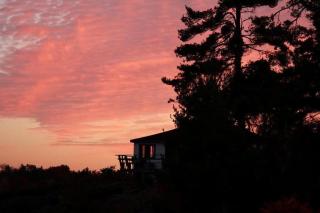 Comfy Cottage in Georgian Bay - Rockwood #9 - Dillon - 1